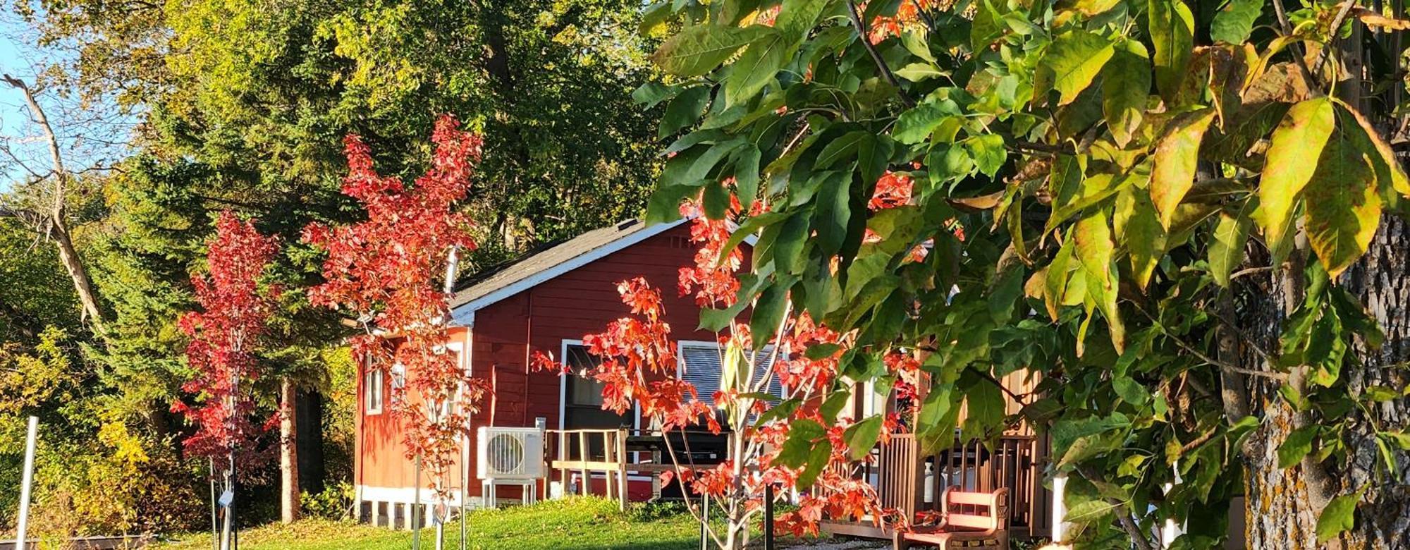 Trent River Cottages Hastings Exteriör bild